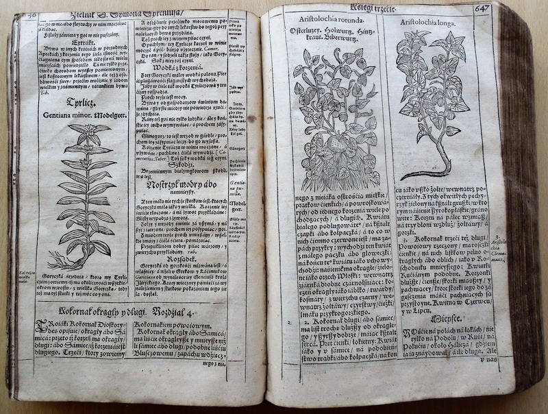 Приглашаем на музейное занятие «Удивительный мир растений на страницах старых книг»