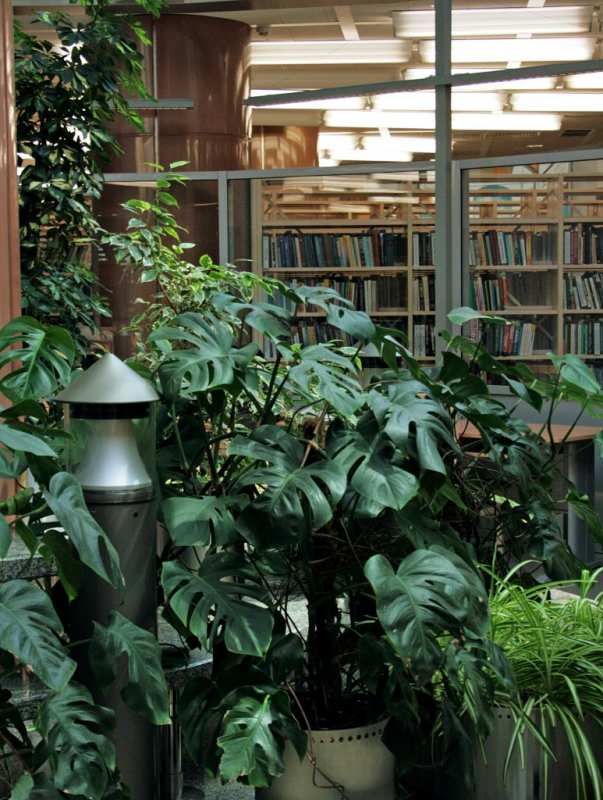 «Зимний сад» Национальной библиотеки Беларуси