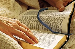 В учебных заведениях стали изучать «Библию как памятник культуры»