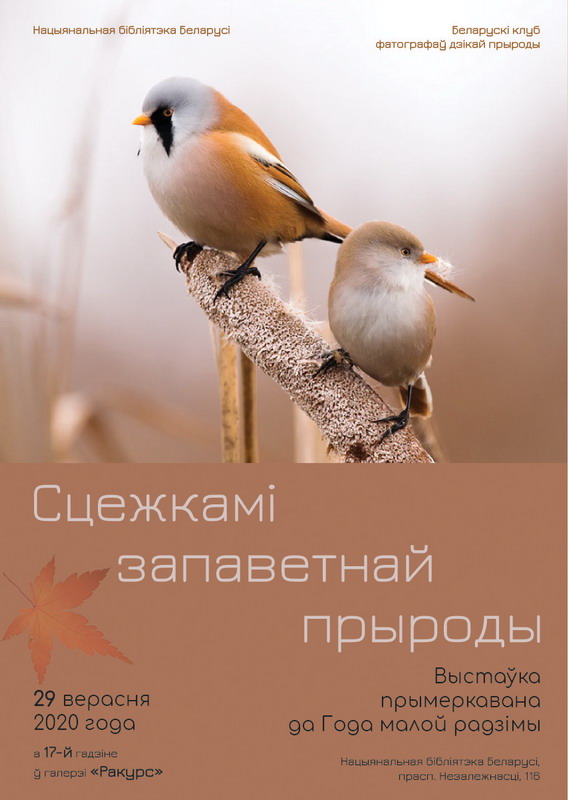 Заповедная природа Беларуси через призму фотографий