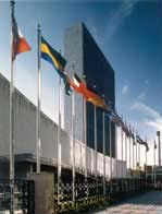 The United Nations for peace, development and human rights