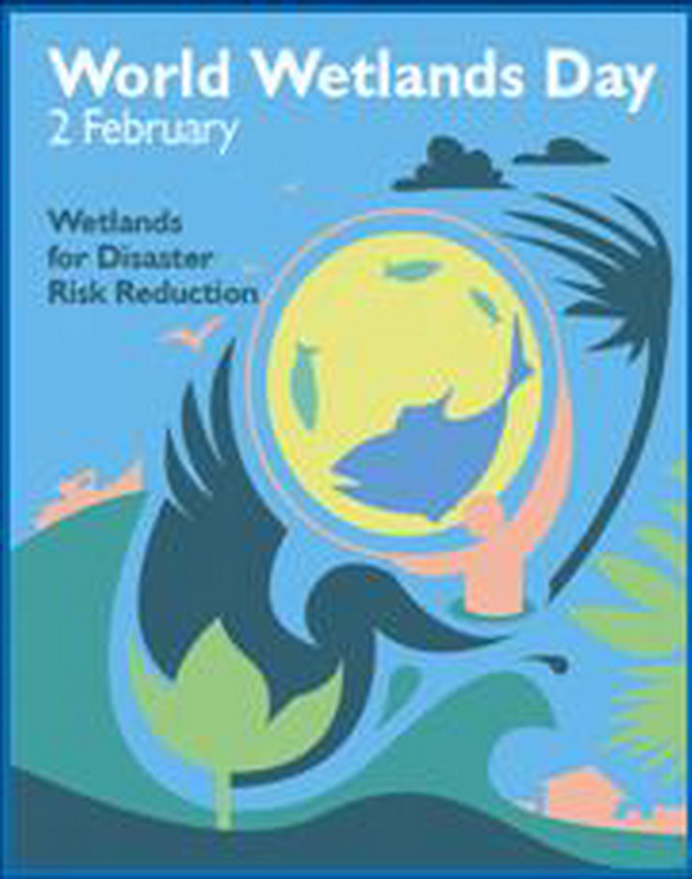 Wetlands: conservation, sustainable use and development