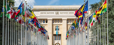 Курсовая работа по теме Структура Організації Об'єднаних Націй